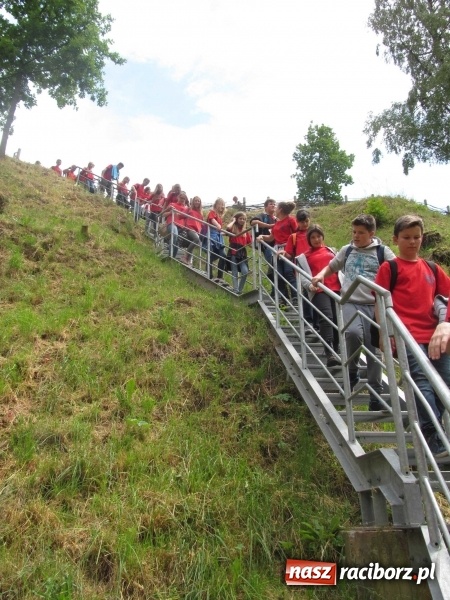 Zdjęcie w galerii na portalu naszraciborz.pl: Gimnazjaliści z Gimnazjum nr 5 na Górze Świętej Anny  wiadomości z regionu