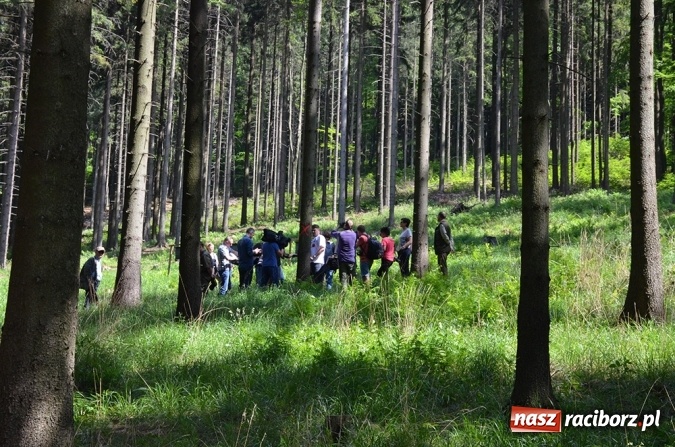 Zdjęcie w galerii na portalu naszraciborz.pl: Dziennikarze w Beskidach  wiadomości z regionu