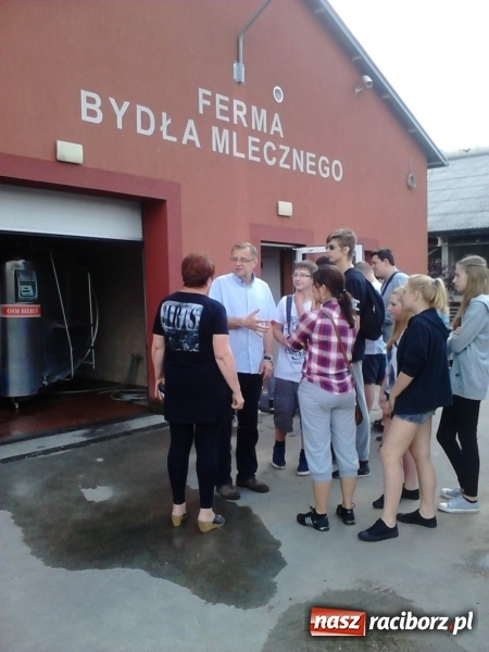 Zdjęcie w galerii na portalu naszraciborz.pl: Uczniowie Gimnazjum nr 5 w Wojnowicach  wiadomości z regionu