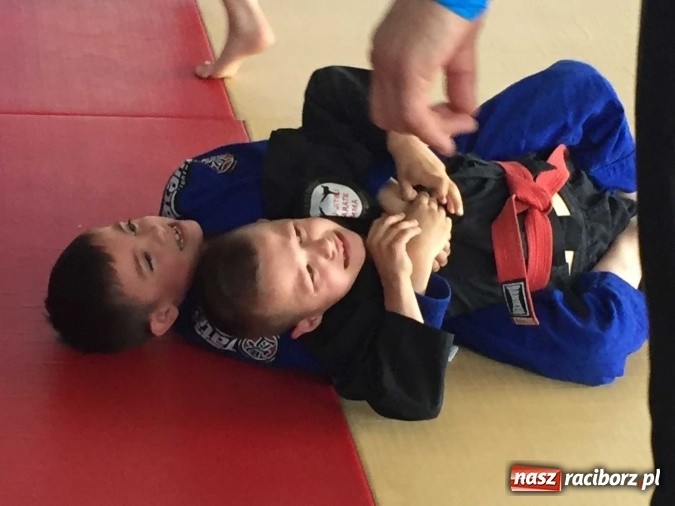 Zdjęcie w galerii na portalu naszraciborz.pl: Kolejne sukcesy zawodników Łamatora  wiadomości z regionu