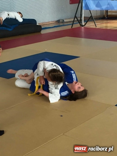 Zdjęcie w galerii na portalu naszraciborz.pl: Kolejne sukcesy zawodników Łamatora  wiadomości z regionu