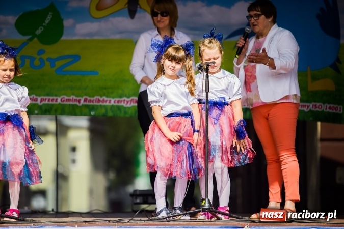 Zdjęcie w galerii na portalu naszraciborz.pl: Festyn ekologiczny z gokartami na raciborskim rynku wiadomości z regionu