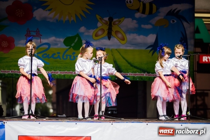 Zdjęcie w galerii na portalu naszraciborz.pl: Festyn ekologiczny z gokartami na raciborskim rynku wiadomości z regionu