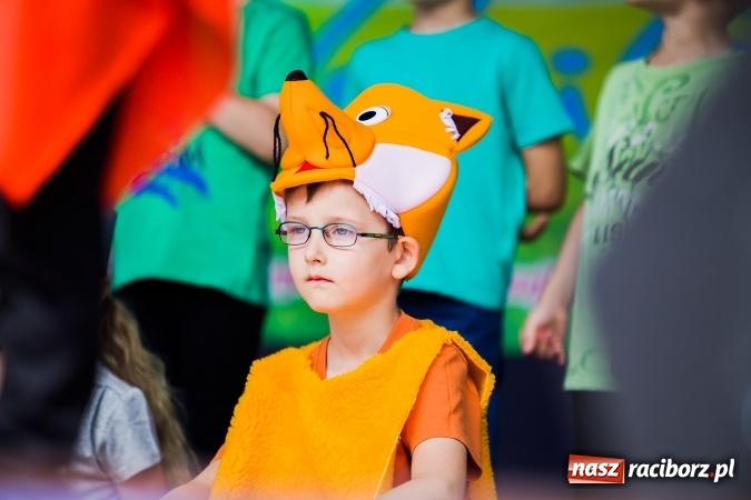 Zdjęcie w galerii na portalu naszraciborz.pl: Festyn ekologiczny z gokartami na raciborskim rynku wiadomości z regionu