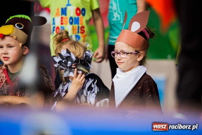 Zdjęcie w galerii na portalu naszraciborz.pl: Festyn ekologiczny z gokartami na raciborskim rynku wiadomości z regionu