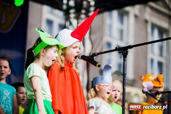 Zdjęcie w galerii na portalu naszraciborz.pl: Festyn ekologiczny z gokartami na raciborskim rynku wiadomości z regionu