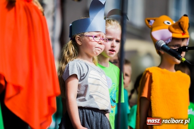 Zdjęcie w galerii na portalu naszraciborz.pl: Festyn ekologiczny z gokartami na raciborskim rynku wiadomości z regionu