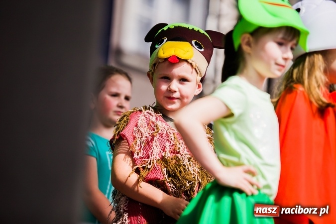 Zdjęcie w galerii na portalu naszraciborz.pl: Festyn ekologiczny z gokartami na raciborskim rynku wiadomości z regionu