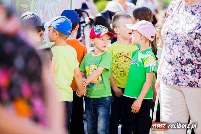 Zdjęcie w galerii na portalu naszraciborz.pl: Festyn ekologiczny z gokartami na raciborskim rynku wiadomości z regionu