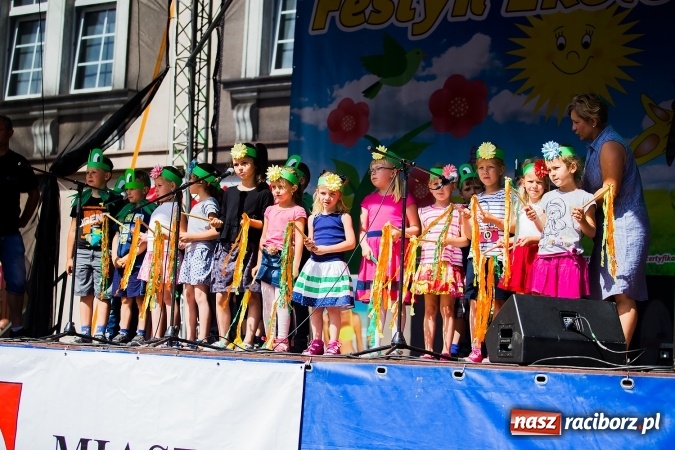 Zdjęcie w galerii na portalu naszraciborz.pl: Festyn ekologiczny z gokartami na raciborskim rynku wiadomości z regionu