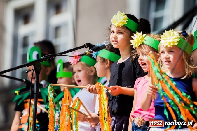 Zdjęcie w galerii na portalu naszraciborz.pl: Festyn ekologiczny z gokartami na raciborskim rynku wiadomości z regionu