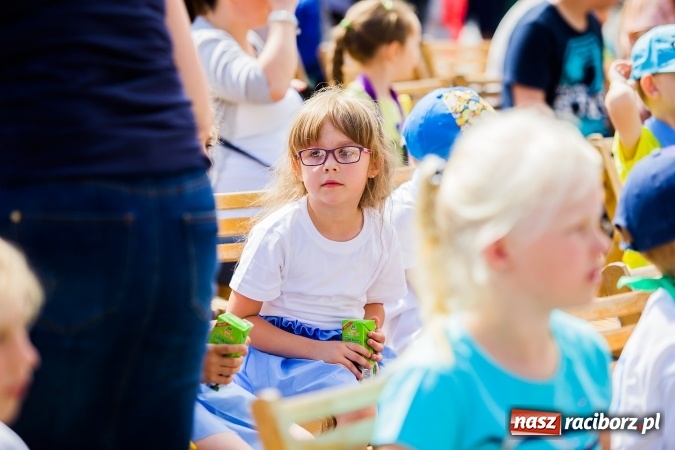 Zdjęcie w galerii na portalu naszraciborz.pl: Festyn ekologiczny z gokartami na raciborskim rynku wiadomości z regionu