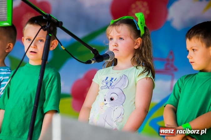 Zdjęcie w galerii na portalu naszraciborz.pl: Festyn ekologiczny z gokartami na raciborskim rynku wiadomości z regionu