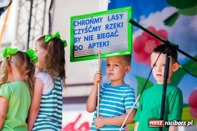 Zdjęcie w galerii na portalu naszraciborz.pl: Festyn ekologiczny z gokartami na raciborskim rynku wiadomości z regionu