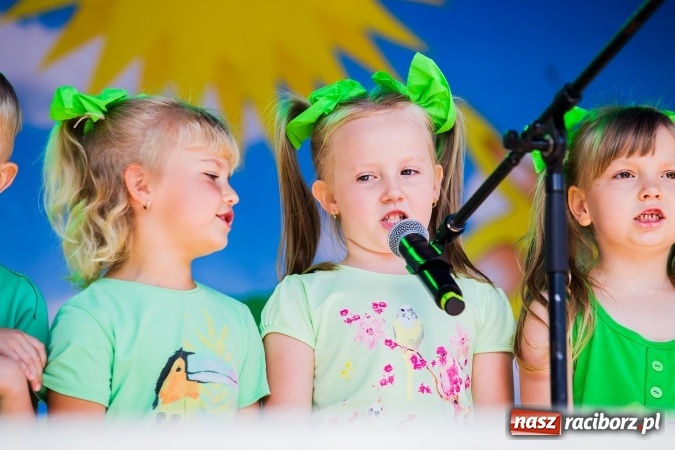 Zdjęcie w galerii na portalu naszraciborz.pl: Festyn ekologiczny z gokartami na raciborskim rynku wiadomości z regionu