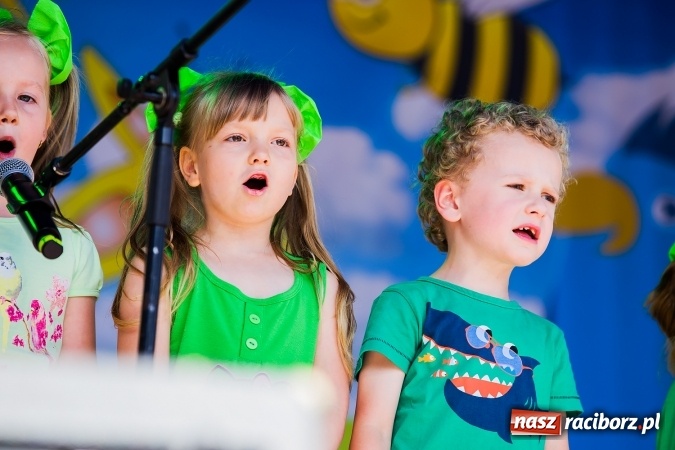 Zdjęcie w galerii na portalu naszraciborz.pl: Festyn ekologiczny z gokartami na raciborskim rynku wiadomości z regionu
