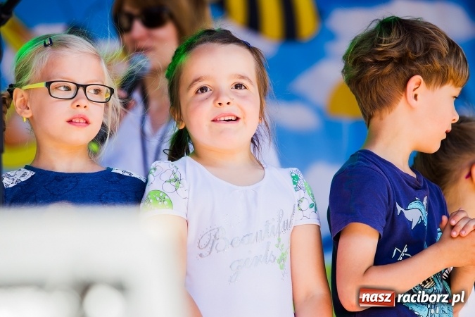 Zdjęcie w galerii na portalu naszraciborz.pl: Festyn ekologiczny z gokartami na raciborskim rynku wiadomości z regionu