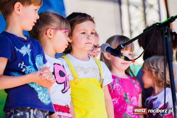 Zdjęcie w galerii na portalu naszraciborz.pl: Festyn ekologiczny z gokartami na raciborskim rynku wiadomości z regionu