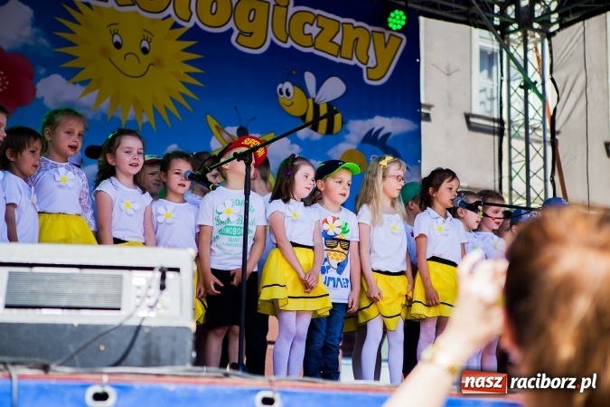 Zdjęcie w galerii na portalu naszraciborz.pl: Festyn ekologiczny z gokartami na raciborskim rynku wiadomości z regionu