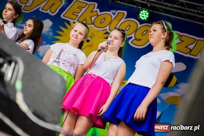 Zdjęcie w galerii na portalu naszraciborz.pl: Festyn ekologiczny z gokartami na raciborskim rynku wiadomości z regionu