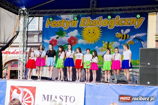 Zdjęcie w galerii na portalu naszraciborz.pl: Festyn ekologiczny z gokartami na raciborskim rynku wiadomości z regionu