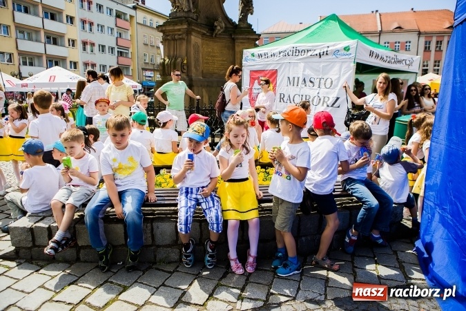 Zdjęcie w galerii na portalu naszraciborz.pl: Festyn ekologiczny z gokartami na raciborskim rynku wiadomości z regionu