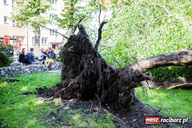 Zdjęcie w galerii na portalu naszraciborz.pl: Przez silny wiatr strażacy od rana mają pełne ręce roboty wiadomości z regionu