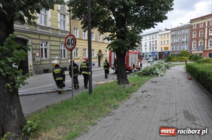 Zdjęcie w galerii na portalu naszraciborz.pl: Przez silny wiatr strażacy od rana mają pełne ręce roboty wiadomości z regionu