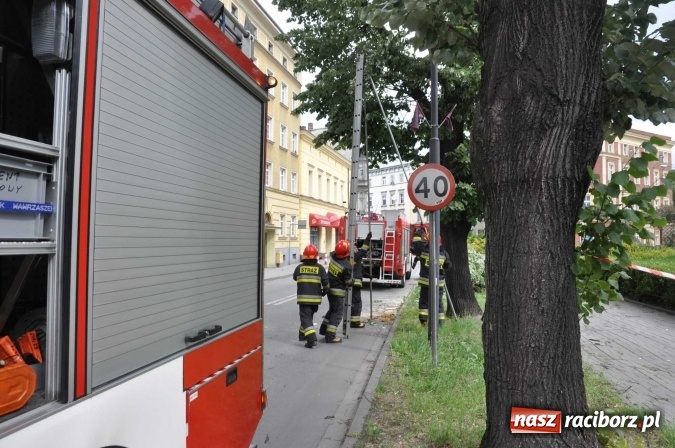Zdjęcie w galerii na portalu naszraciborz.pl: Przez silny wiatr strażacy od rana mają pełne ręce roboty wiadomości z regionu