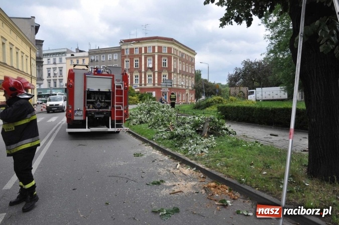 Zdjęcie w galerii na portalu naszraciborz.pl: Przez silny wiatr strażacy od rana mają pełne ręce roboty wiadomości z regionu