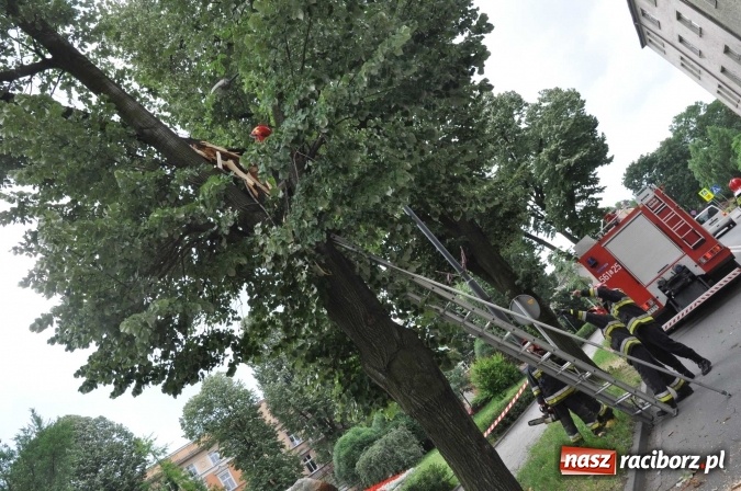 Zdjęcie w galerii na portalu naszraciborz.pl: Przez silny wiatr strażacy od rana mają pełne ręce roboty wiadomości z regionu