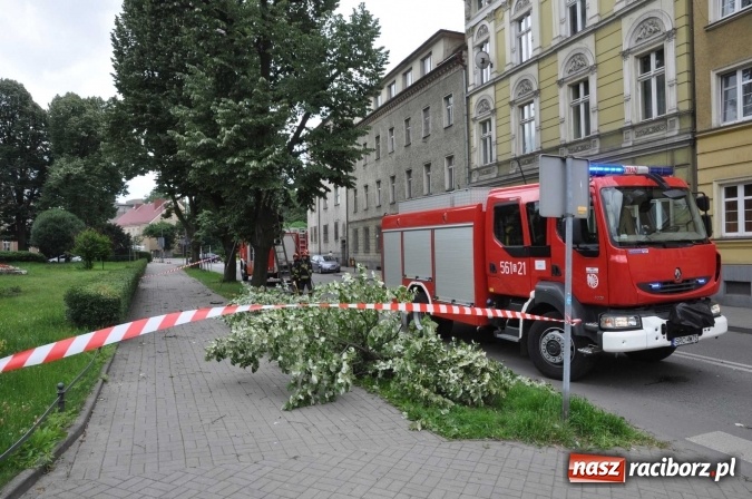 Zdjęcie w galerii na portalu naszraciborz.pl: Przez silny wiatr strażacy od rana mają pełne ręce roboty wiadomości z regionu