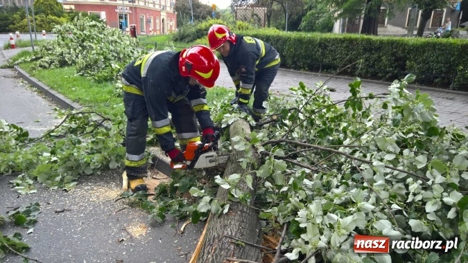 Zdjęcie w galerii na portalu naszraciborz.pl: Przez silny wiatr strażacy od rana mają pełne ręce roboty wiadomości z regionu