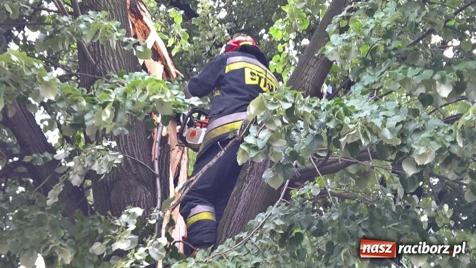 Zdjęcie w galerii na portalu naszraciborz.pl: Przez silny wiatr strażacy od rana mają pełne ręce roboty wiadomości z regionu