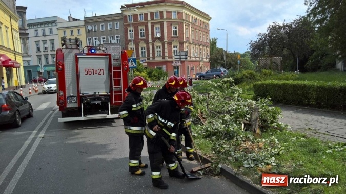 Zdjęcie w galerii na portalu naszraciborz.pl: Przez silny wiatr strażacy od rana mają pełne ręce roboty wiadomości z regionu