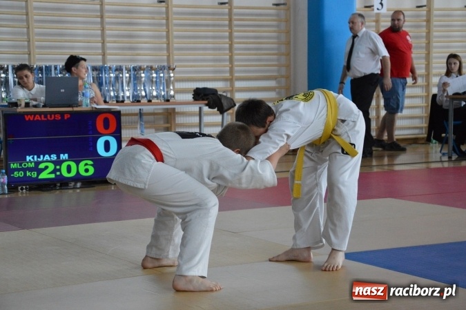 Zdjęcie w galerii na portalu naszraciborz.pl: MKS Sparta z Kuźni Raciborskiej II najlepszym zespołem w Polsce! wiadomości z regionu