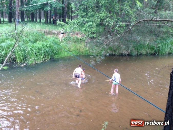 Zdjęcie w galerii na portalu naszraciborz.pl: Raciborscy harcerze biwakowali w lesie  wiadomości z regionu