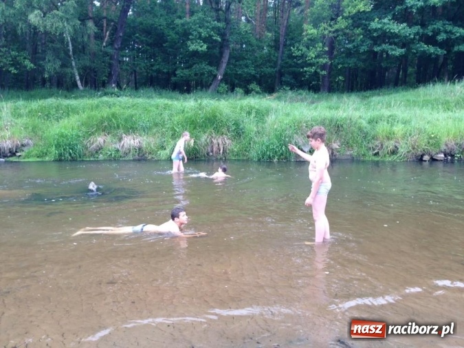 Zdjęcie w galerii na portalu naszraciborz.pl: Raciborscy harcerze biwakowali w lesie  wiadomości z regionu