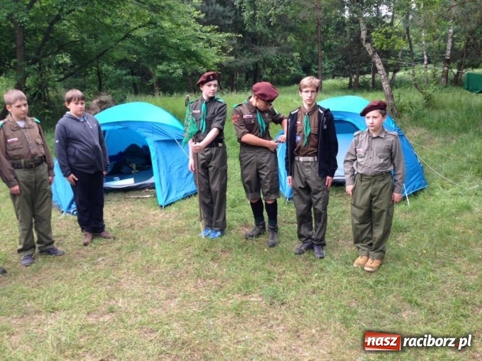Zdjęcie w galerii na portalu naszraciborz.pl: Raciborscy harcerze biwakowali w lesie  wiadomości z regionu