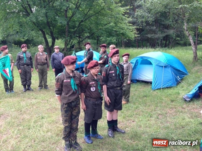 Zdjęcie w galerii na portalu naszraciborz.pl: Raciborscy harcerze biwakowali w lesie  wiadomości z regionu