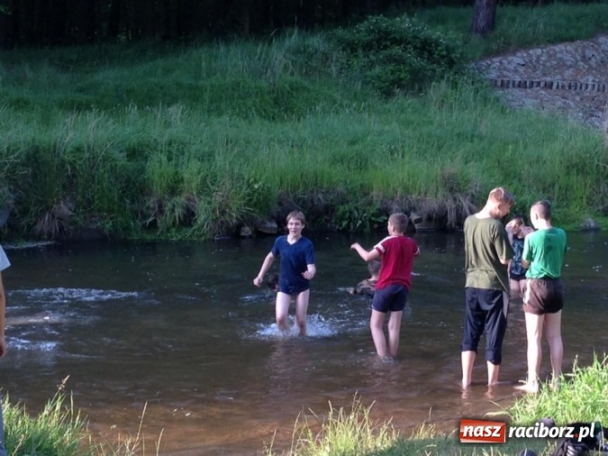 Zdjęcie w galerii na portalu naszraciborz.pl: Raciborscy harcerze biwakowali w lesie  wiadomości z regionu