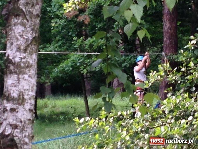 Zdjęcie w galerii na portalu naszraciborz.pl: Raciborscy harcerze biwakowali w lesie  wiadomości z regionu