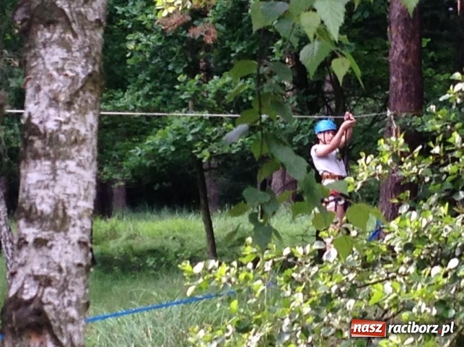 Zdjęcie w galerii na portalu naszraciborz.pl: Raciborscy harcerze biwakowali w lesie  wiadomości z regionu