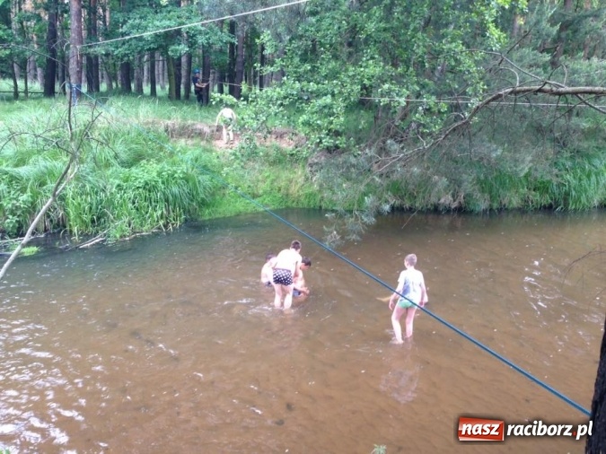 Zdjęcie w galerii na portalu naszraciborz.pl: Raciborscy harcerze biwakowali w lesie  wiadomości z regionu