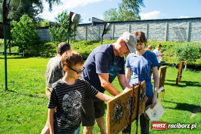 Zdjęcie w galerii na portalu naszraciborz.pl: Dni Raciborza: I Piknik Strzelecki za nami wiadomości z regionu
