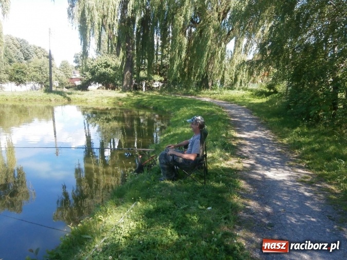 Zdjęcie w galerii na portalu naszraciborz.pl: Zawody wędkarskie na Trzecioku  wiadomości z regionu