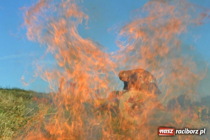 Zdjęcie w galerii na portalu naszraciborz.pl: PŁYWADŁO 2016 - przystanek Turze wiadomości z regionu