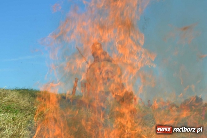 Zdjęcie w galerii na portalu naszraciborz.pl: PŁYWADŁO 2016 - przystanek Turze wiadomości z regionu