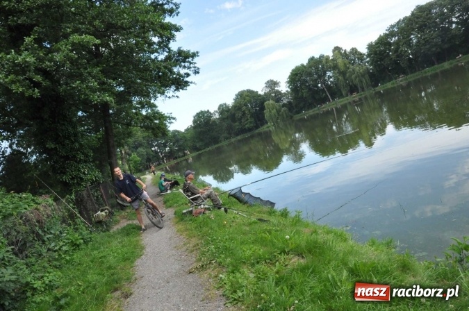 Zdjęcie w galerii na portalu naszraciborz.pl: Wędkarze rywalizowali o Puchar Wójta Krzyżanowic  wiadomości z regionu