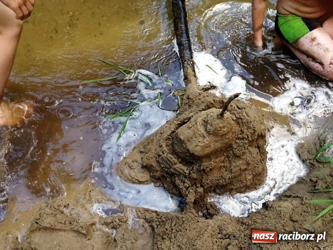 Zdjęcie w galerii na portalu naszraciborz.pl: Zuchowy bieg po gwiazdki  wiadomości z regionu